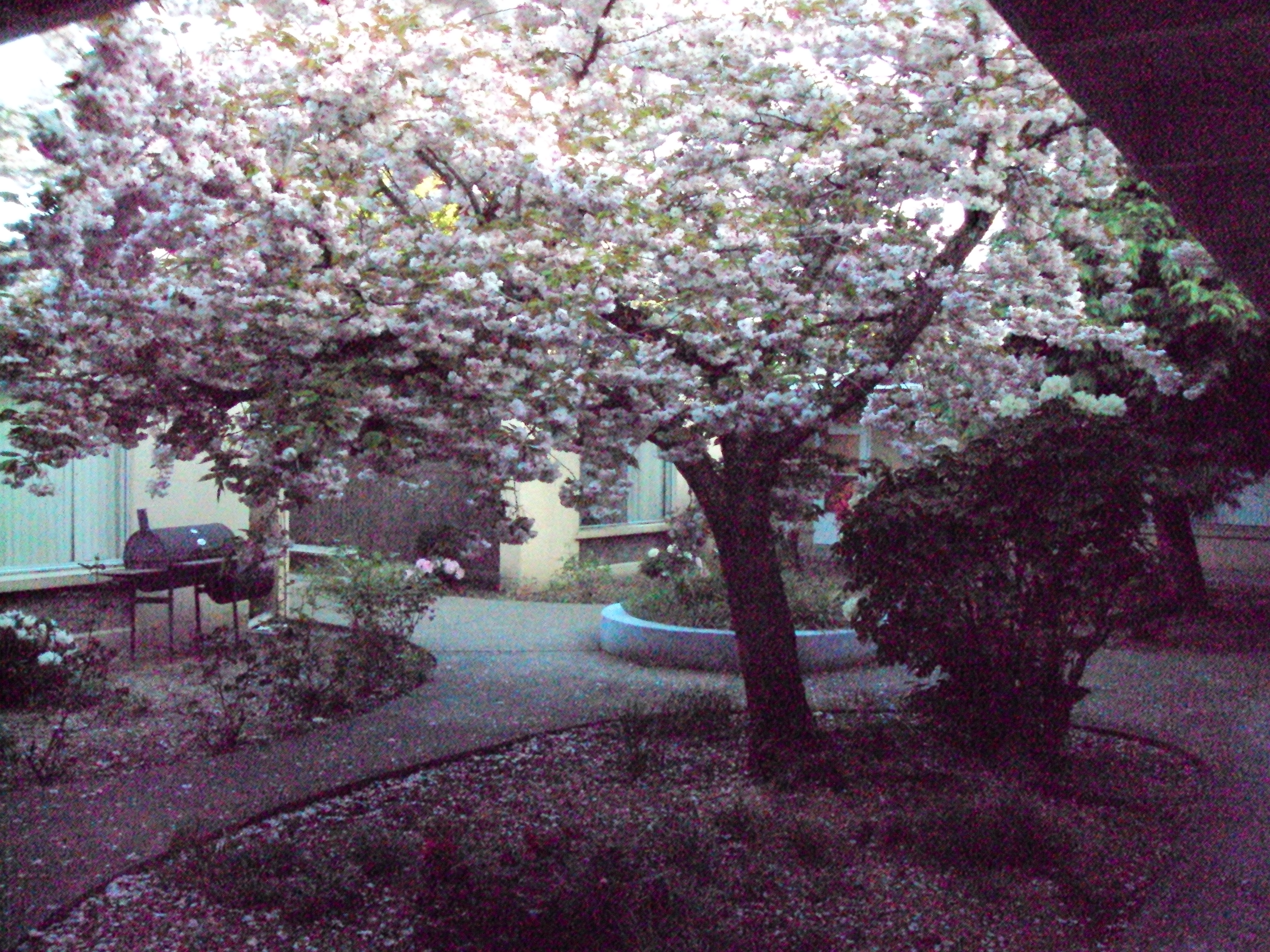DSC03270
